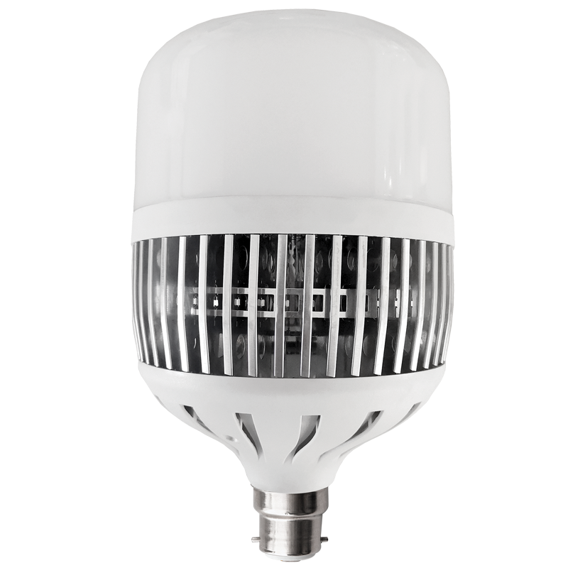 Bright Star BULB LED 274 CANNOT BE USED WITH REFLECTOR T LAMP B22 100W