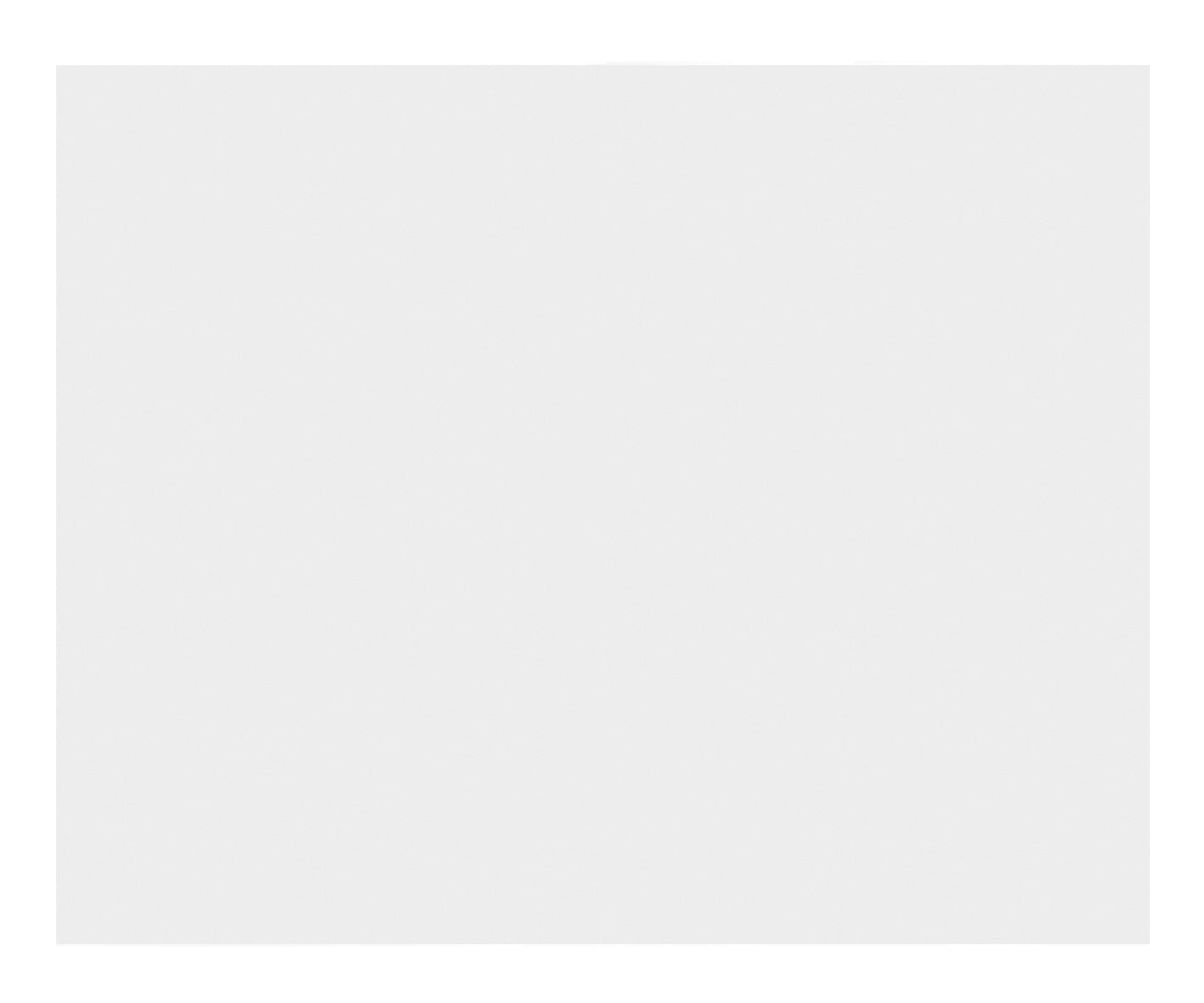 Bright Star ECP125 WHITE MODULAR WHITE BIG BLANK INSERT PLATE 1.