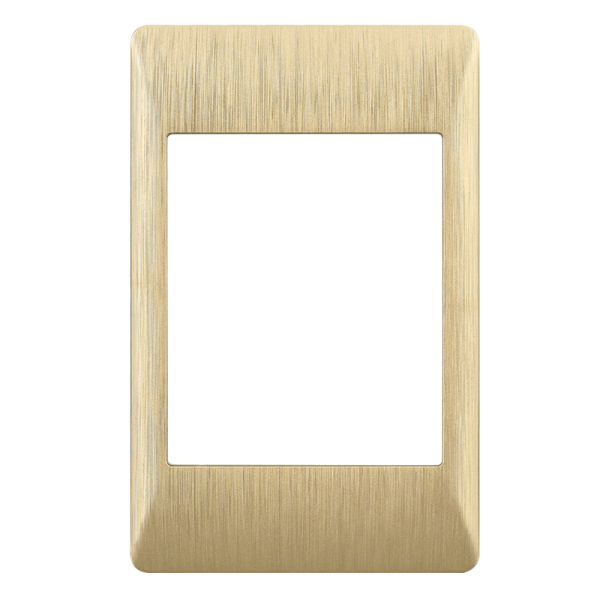 Bright Star ECP613 BRUSHED GOLD 2 X 4 BRUSHED GOLD COVER