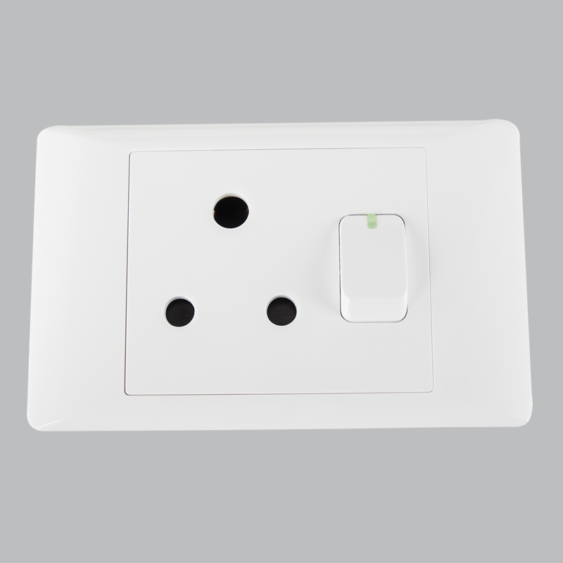 Bright Star EPL301 WHITE 16 AMP PLUG 2 X 4 (10 per box)