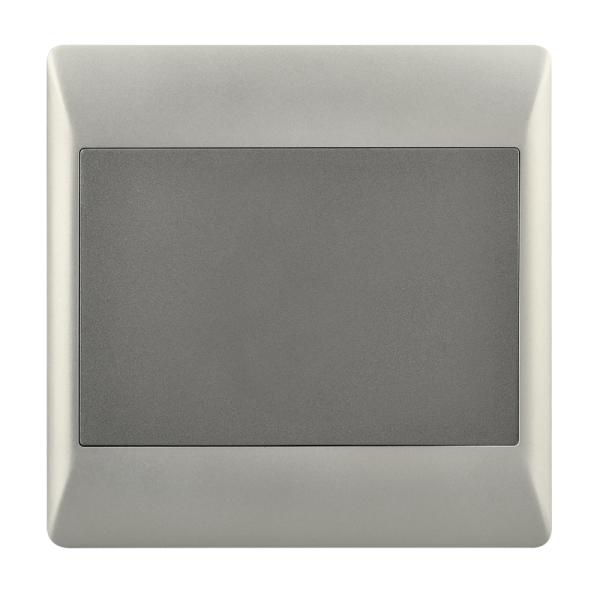 Bright Star ESW081 DUO BLANK PLATE 4 X 4 (10 per box)