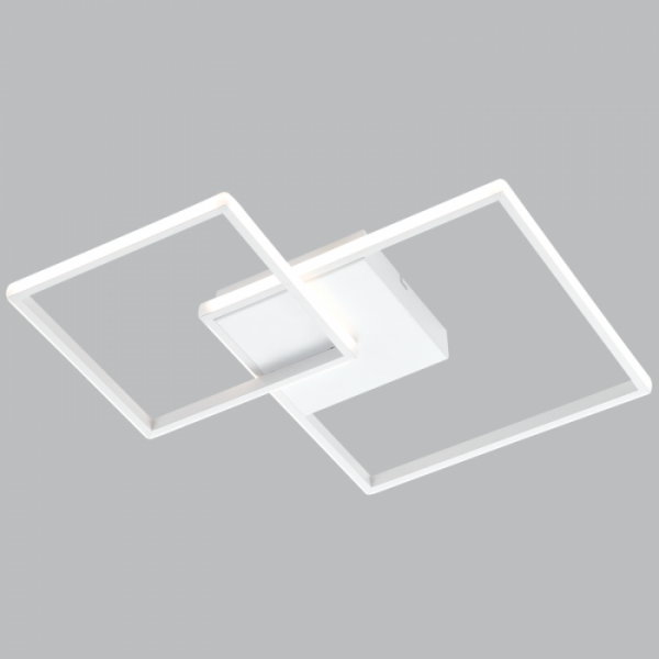 WB316 Bright Star WHITE WHITE