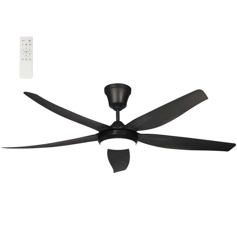 Ceiling Fans
