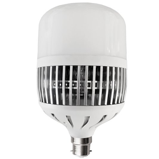 Bright Star BULB LED 274 CANNOT BE USED WITH REFLECTOR T LAMP B22 100W