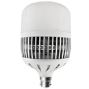 Bright Star BULB LED 274 CANNOT BE USED WITH REFLECTOR T LAMP B22 100W