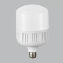 Bright Star BULB LED 224 T LAMP E27 24W 4000K (2025 NM)