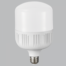 Bright Star BULB LED 225 T LAMP E27 38W 4000K (2025 NM)