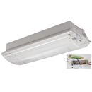 Bright Star CF133 EMERGENCY EMERGENCY CEILING IP30 1.5W LED 6000K ABS