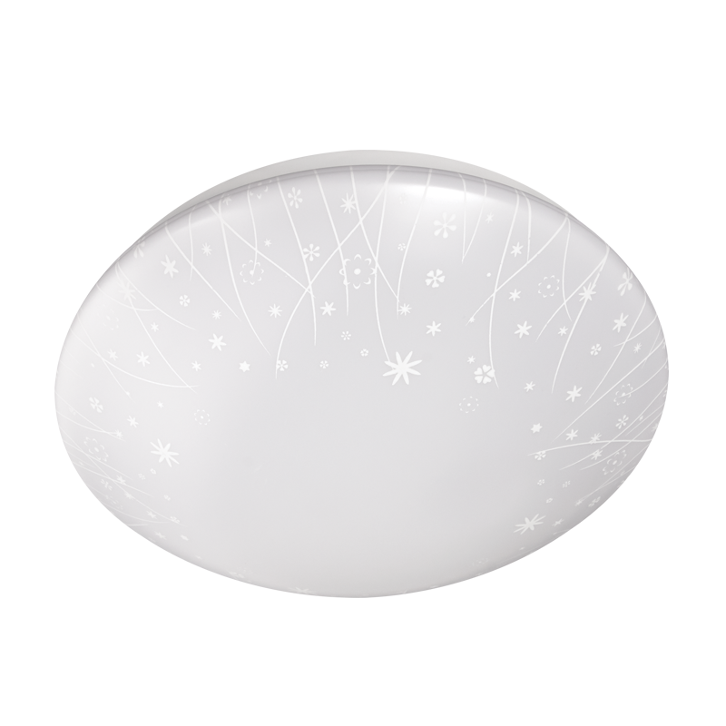 Bright Star CF336 LED 12W 6000K (Sold Box 10)CEILING FITTING