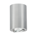 Bright Star DL050 ALUMINIUM DOWN FACING TILT 220V-240V 1X50W GU10