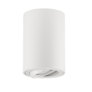 Bright Star DL050 WHITE DOWN FACING TILT 220V-240V 1X50W GU10