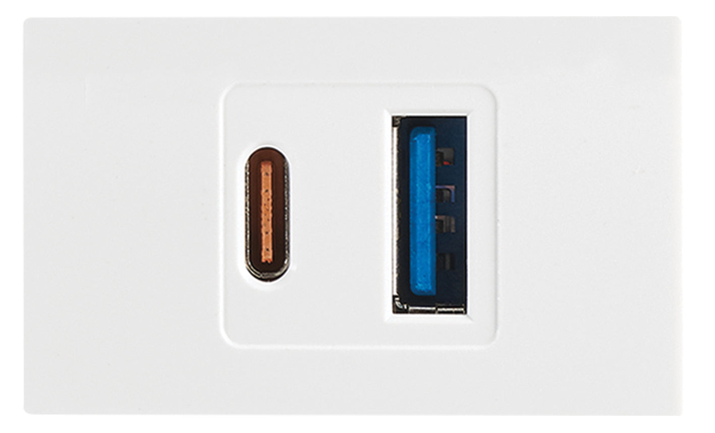 Bright Star ECP120 WHITE MODULAR WHITE USB TYPE A + TYPE C