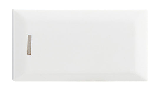 Bright Star ECP122 WHITE MODULAR WHITE DIMMER MODULE