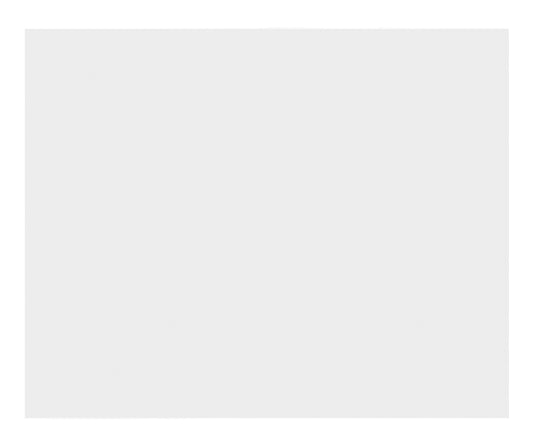 Bright Star ECP125 WHITE MODULAR WHITE BIG BLANK INSERT PLATE 1.