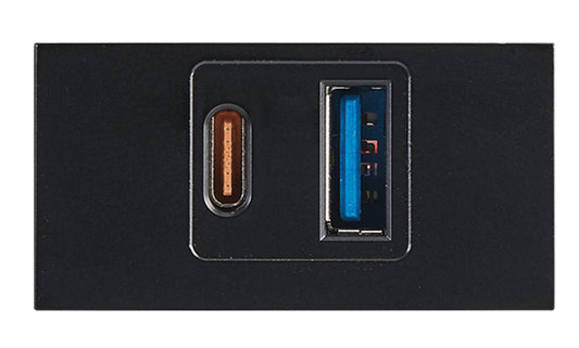 Bright Star ECP170 BLACK MODULAR BLACK USB TYPE A + TYPE C