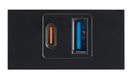 Bright Star ECP170 BLACK MODULAR BLACK USB TYPE A + TYPE C