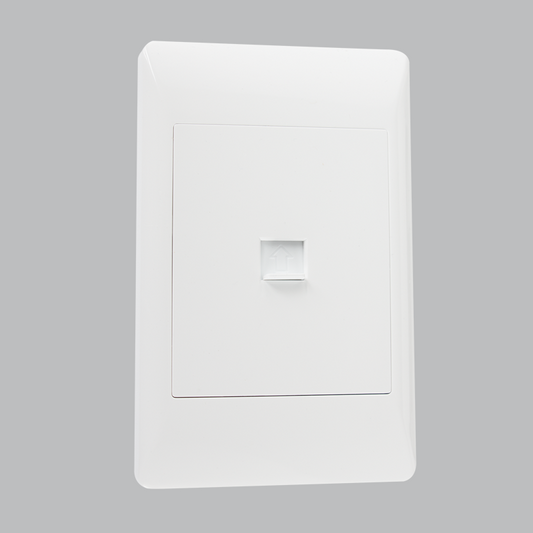 Bright Star ESW034 WHITE COMPUTER SOCKET 2 X 4 (10 per box)