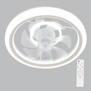 Bright Star FCF021 WHITE 20W COPPER COIL DC CCT 38W LED