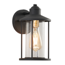 L526 Bright Star BLACK METAL & CLEAR SPECKLED GLASS IP54 1X60W ES