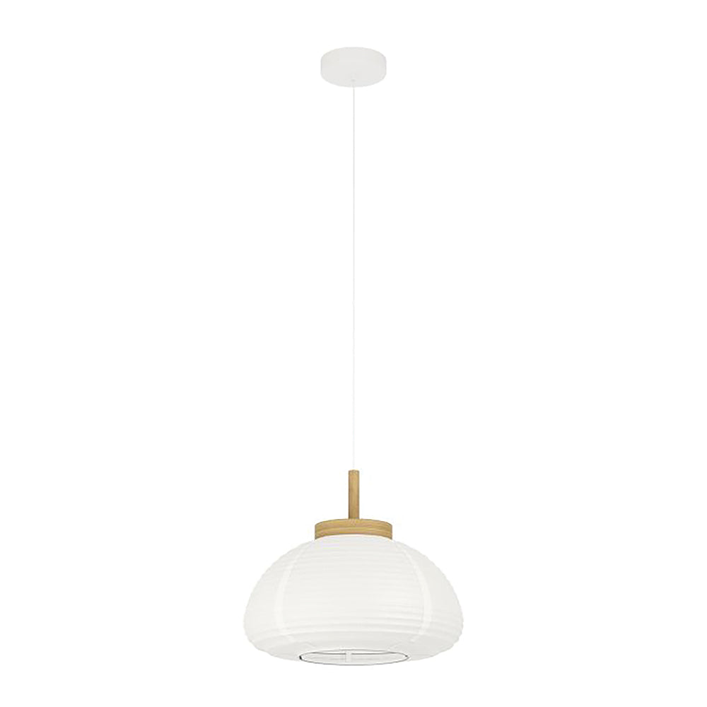 Eurolux Summerhill 1-Light E27 Pendant Light (White & Brown Finish) – P1354