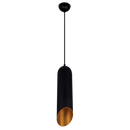 PEN320 Bright Star MATT GOLD MATT BLACK GOLD INNER PENDANT 1X60W ES