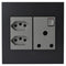 Legrand 572566 Monoblock Magnesium with Graphite Cover Plate 2x Euro, 1x RSA 4x4 Wall Socket