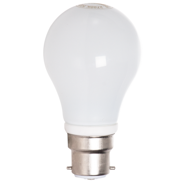 Bright Star Lighting BULB LED 163 B22 6W Warm White Full Vision LED Bulb