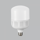 Bright Star Lighting BULB LED 223 E27 13W Cool White LED Bulb