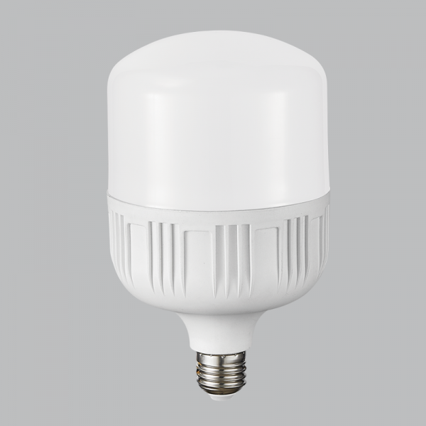 Bright Star Lighting BULB LED 224 E27 24W Cool White LED Bulb