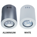 Bright Star Lighting DL050 WHITE Downlighter