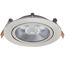 Bright Star Lighting DL059 SATIN Chrome Downlighter