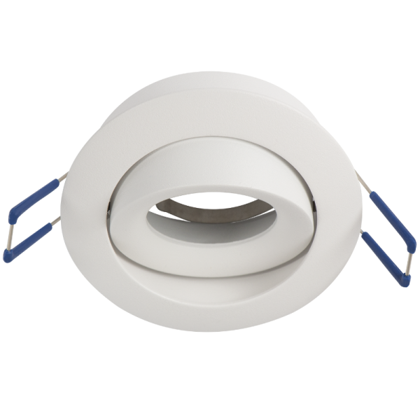 Bright Star Lighting DL105 SILVER Downlighter