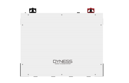 Dyness 51.2V 5.12kWh Lithium Battery BX51100 - Loadshedding Solution