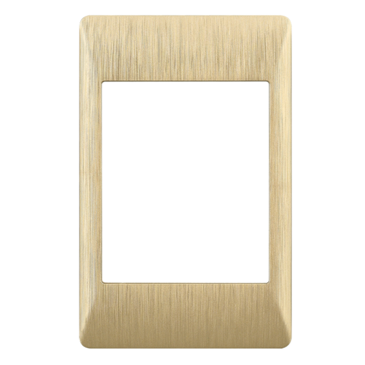 Bright Star ECP613 BRUSHED GOLD 2 X 4 BRUSHED GOLD COVER