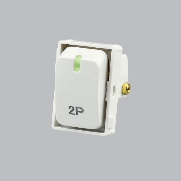 Bright Star Lighting ECP624 WHITE Double Pole Isolator Switch