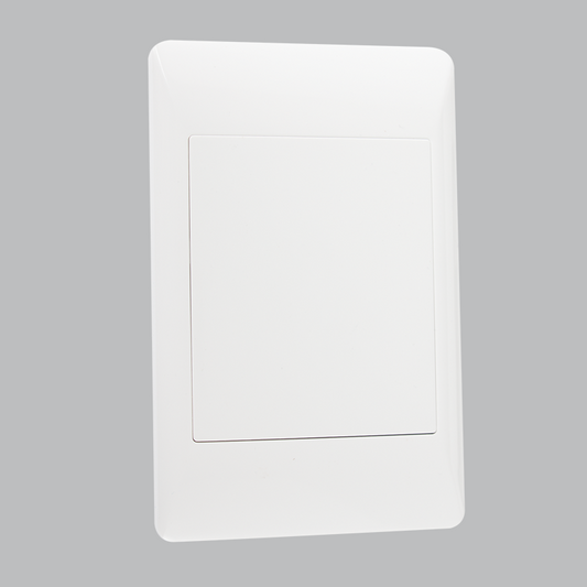 Bright Star ESW030 WHITE BLANK PLATE 2 X 4 (20 per box)