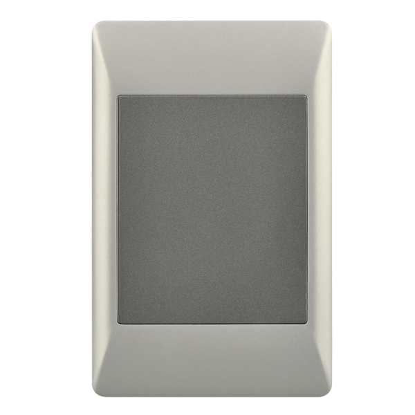 Bright Star ESW080 DUO BLANK PLATE 2 X 4 (20 per box)
