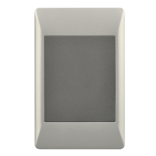 Bright Star ESW080 DUO BLANK PLATE 2 X 4 (20 per box)