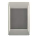 Bright Star Lighting ESW080 DUO Blank Plate – 2 X 4