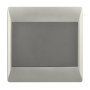 Bright Star Lighting ESW081 DUO Blank Plate – 4 X 4