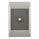 Bright Star Lighting ESW088 DUO Satellite Socket – 2 X 4