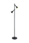 Eurolux FL294 Cortaderas LED 2LT Foot Light  250mm Black & Gold