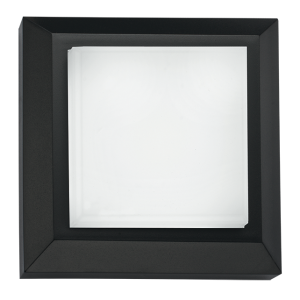 Bright Star FT021 BLACK 3W 360LM LED IP65 COLOUR CHANGING