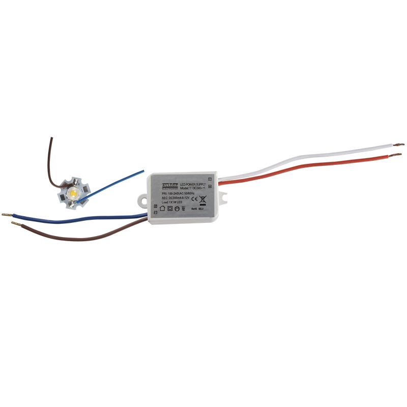 Bright Star Lighting PART650 1W LED COB with 450mm Wire and LED Driver