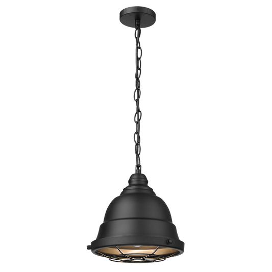 PEN207 Bright Star BLACK METAL PENDANT GRID 1X60W ES