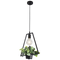 Bright Star Lighting PEN557 BLACK Pendant