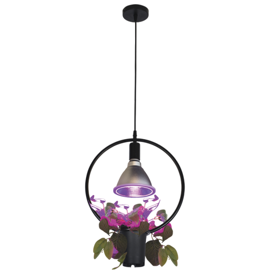 BULB LED 207 Bright Star GRO PAR38 GROW LIGHT BULB