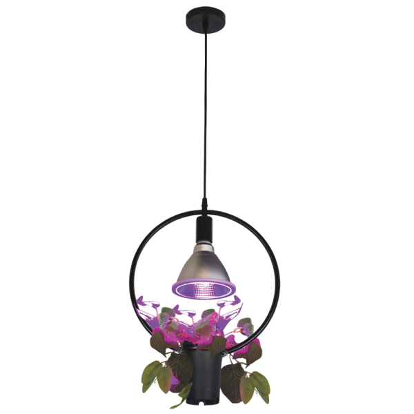 Bright Star Lighting PEN558 BLACK Pendant