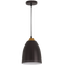 Bright Star Lighting PEN609 BROWN Pendant