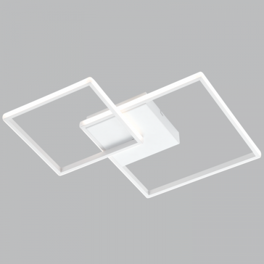 WB316 Bright Star WHITE WHITE